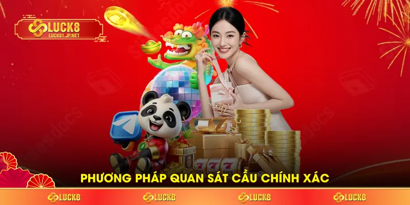 Phương pháp quan sát cầu chính xác